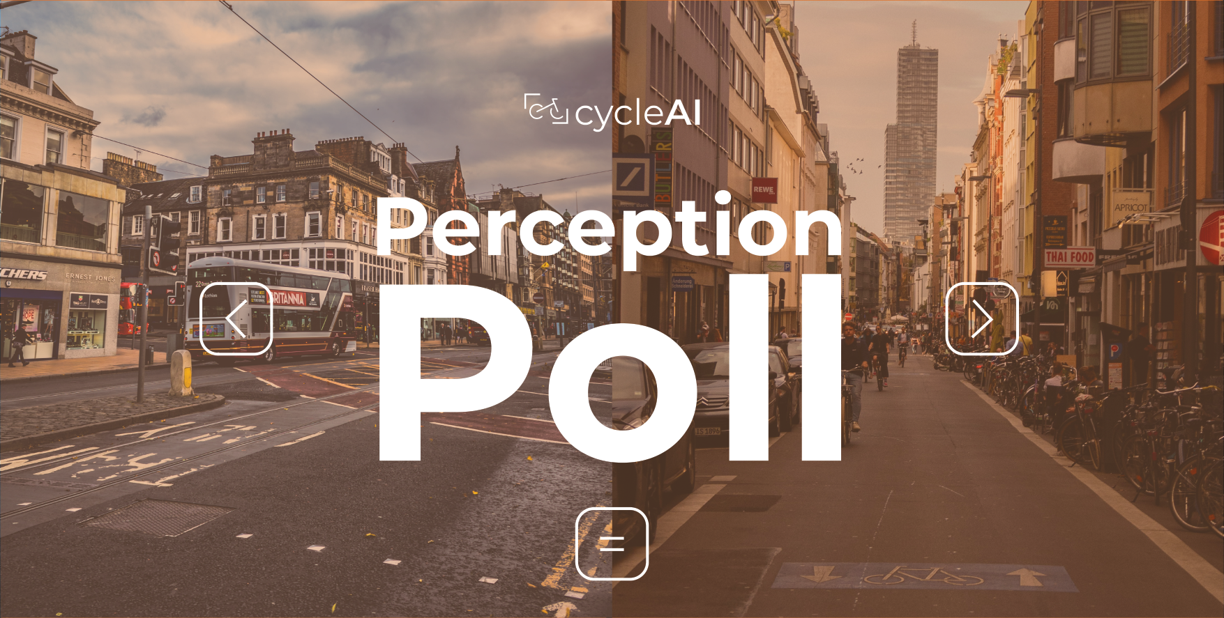 Perception Poll